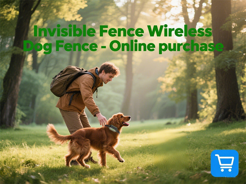  Invisible Fence Wireless Dog Fence-Online purchase – PetHey