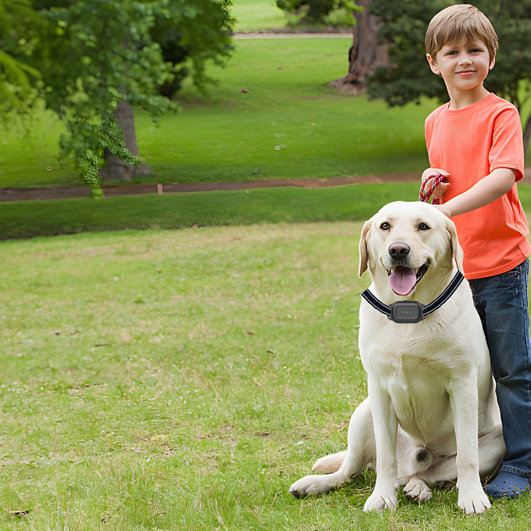 Wired vs Wireless Dog Fence: Why Some Homes Need Custom Boundaries