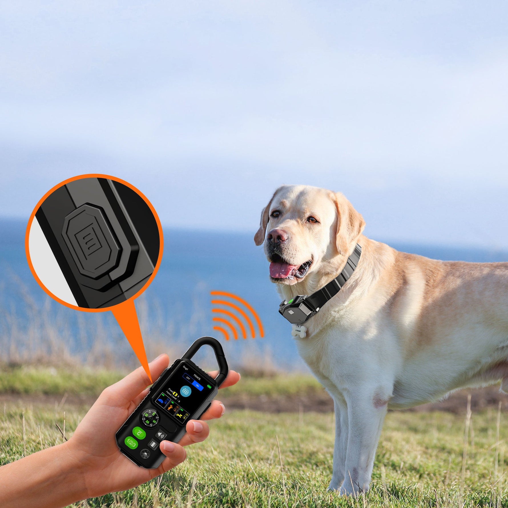 How to Keep Dogs Safe During Camping and Outdoor Adventures
