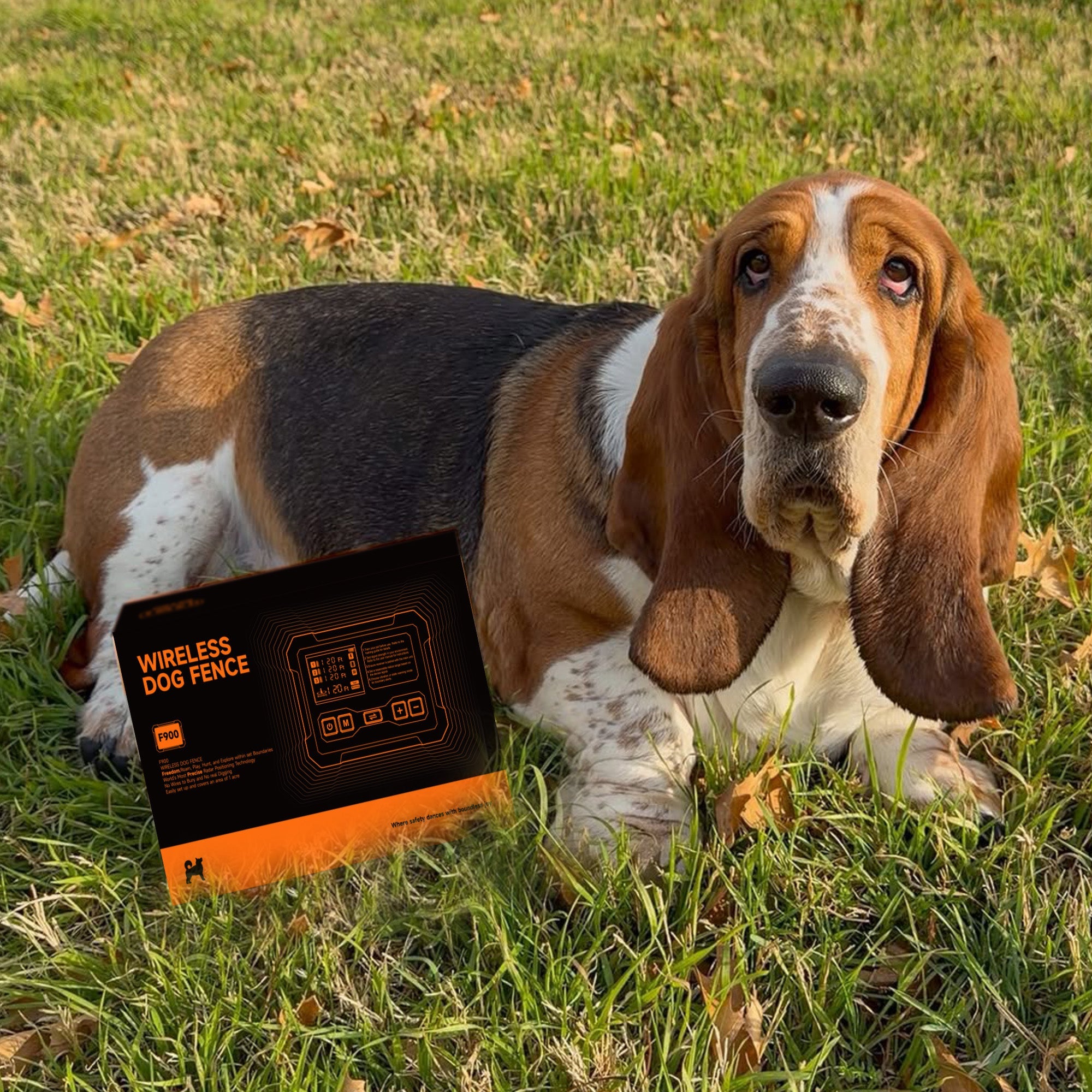 Outdoor Electronic Dog Fence