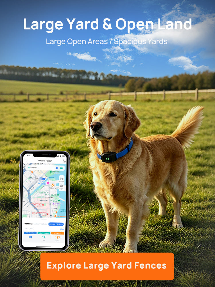 Wireless Dog Fence