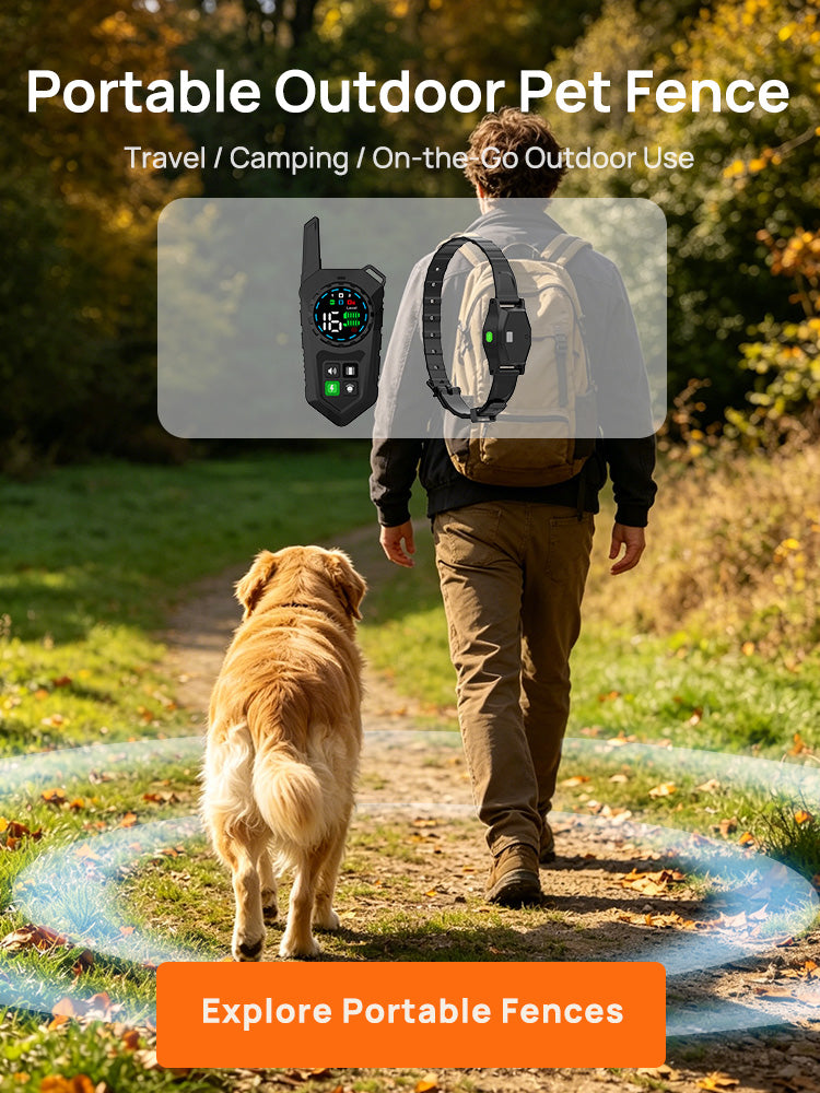 Wireless Dog Fence