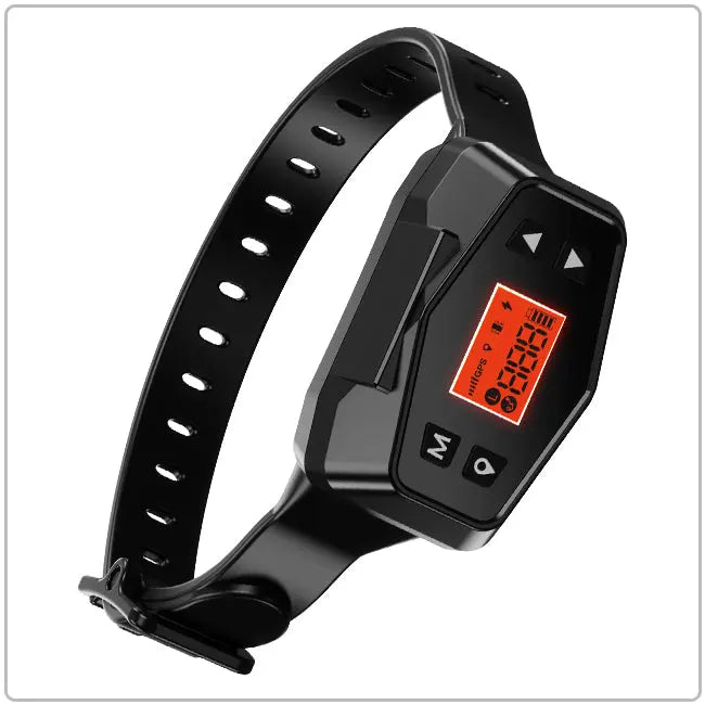 F800 Wireless Dog Fence - PETHEY
