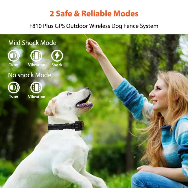 F810 Wireless Dog Fence PetHey