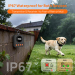 PetHey Indoor &Outdoor Boundary Systems F610 - F610_10