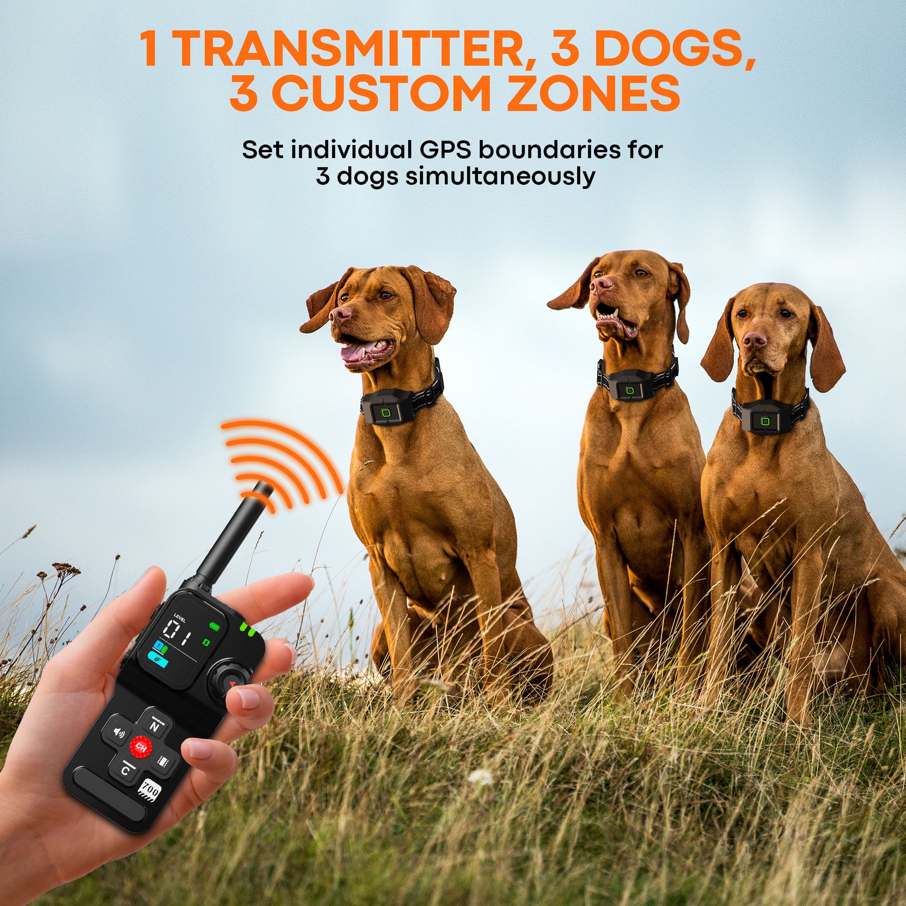 PetHey GPS Wireless Dog Fence F700PLUS - F700PLUS_06