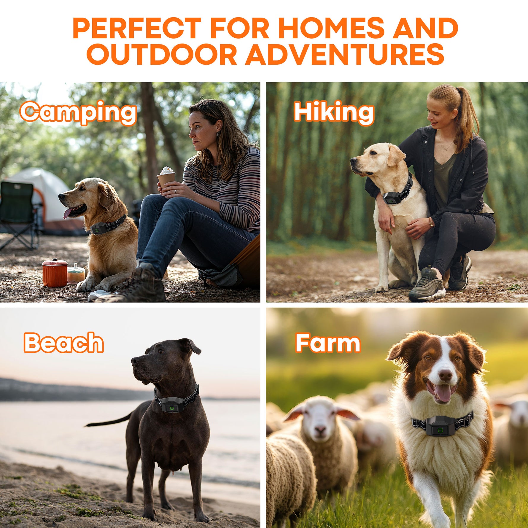 PetHey GPS Wireless Dog Fence F700PLUS - F700PLUS_09