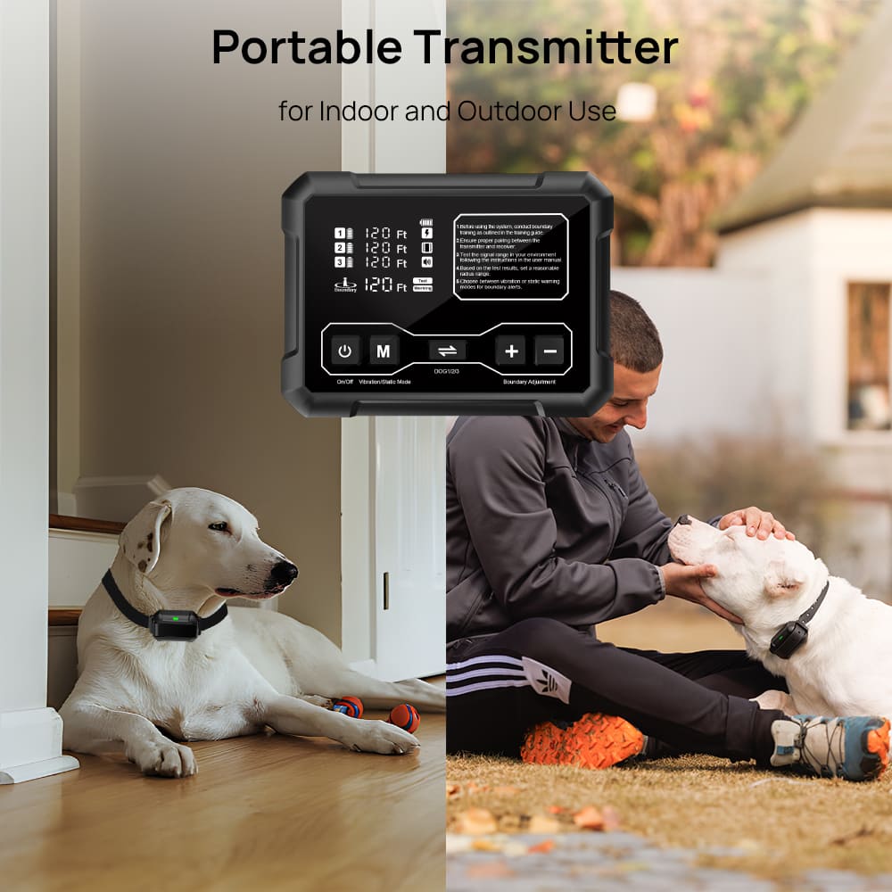 Wireless Dog Fence F900 - Pawious