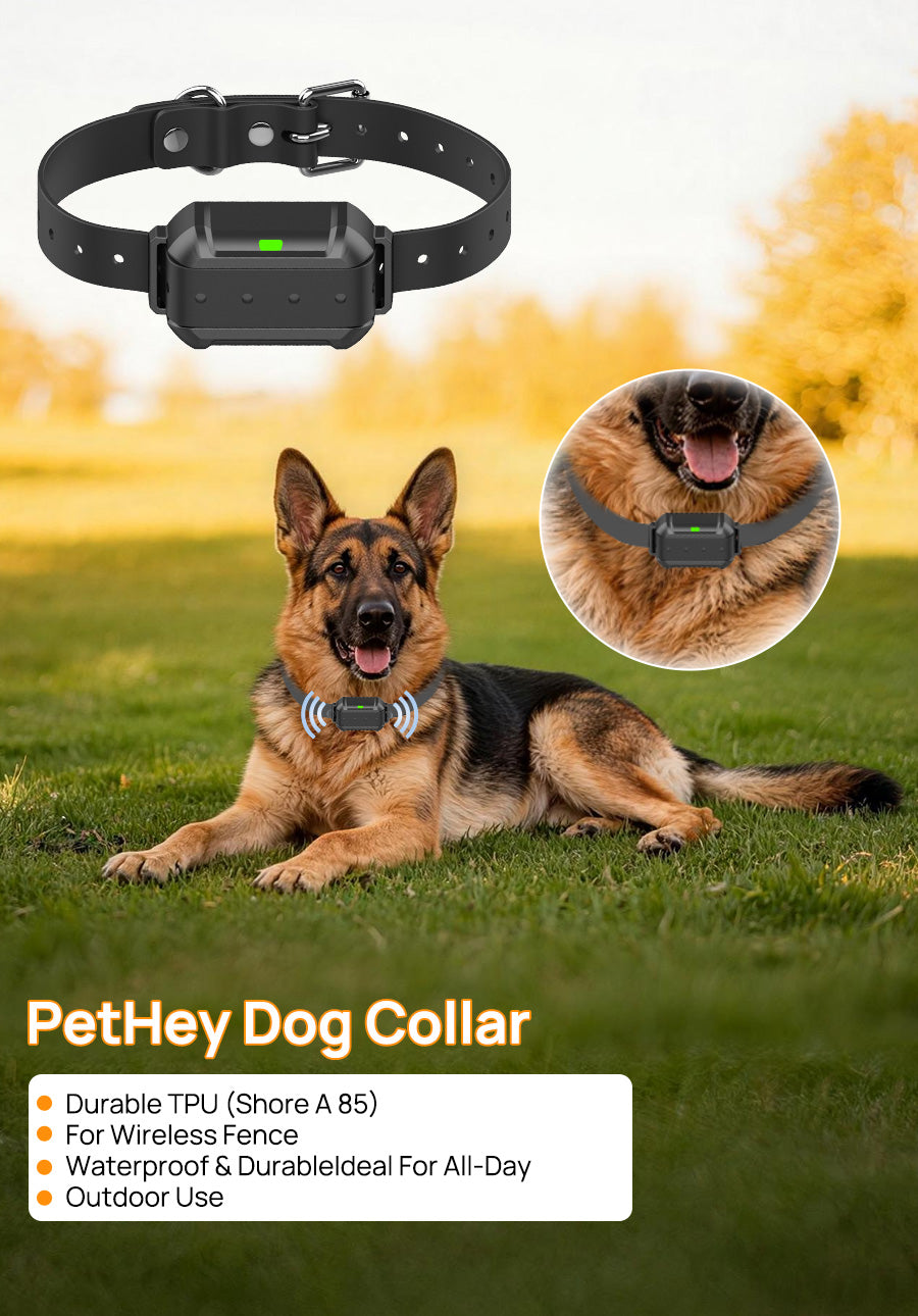 PetHey F900 Wireless Dog Fence - Precise, Wireless & Easy to Use