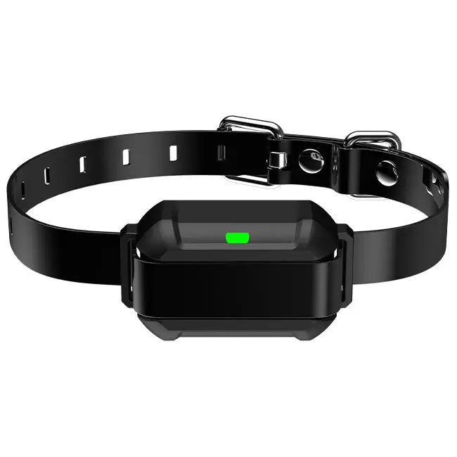 PetHey-F900-Receiver-Collar-Black-1