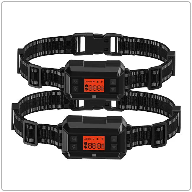 PetHey-GPS-Wireless-Dog-Fence-F810-2Dog-5