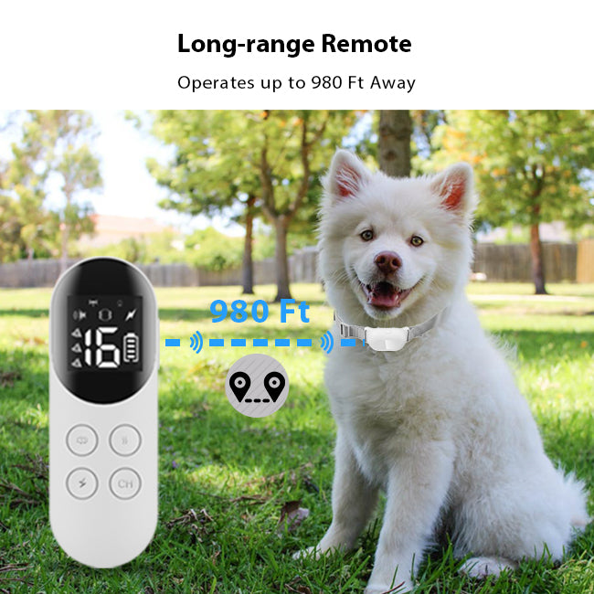 PetHey-T200-Remote-Dog-Training-Collar-2