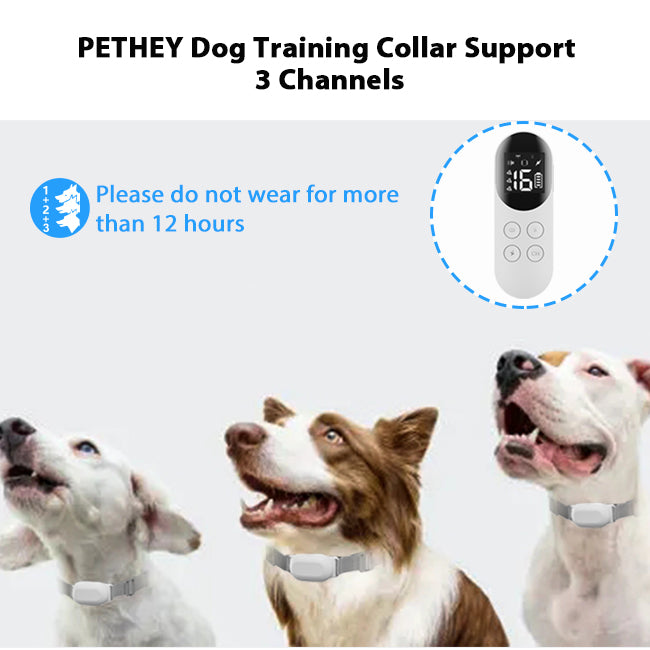 PetHey-T200-Remote-Dog-Training-Collar-4