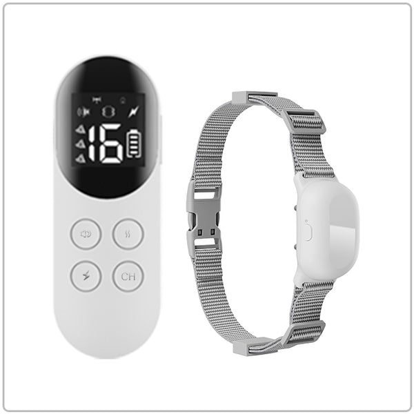 PetHey-T200-Remote-Dog-Training-Collar