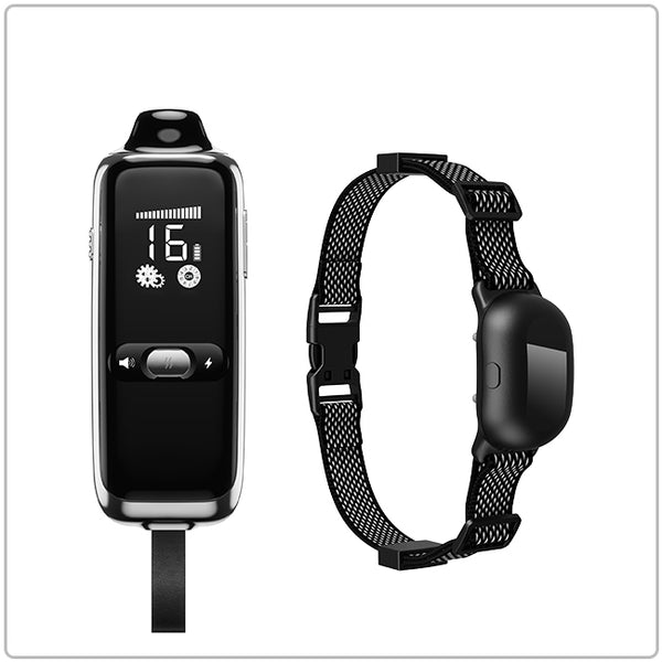 PetHey-T300-Remote-Dog-Training-Collar