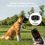 PetHey-T800-Training-Collar-1Dog-4