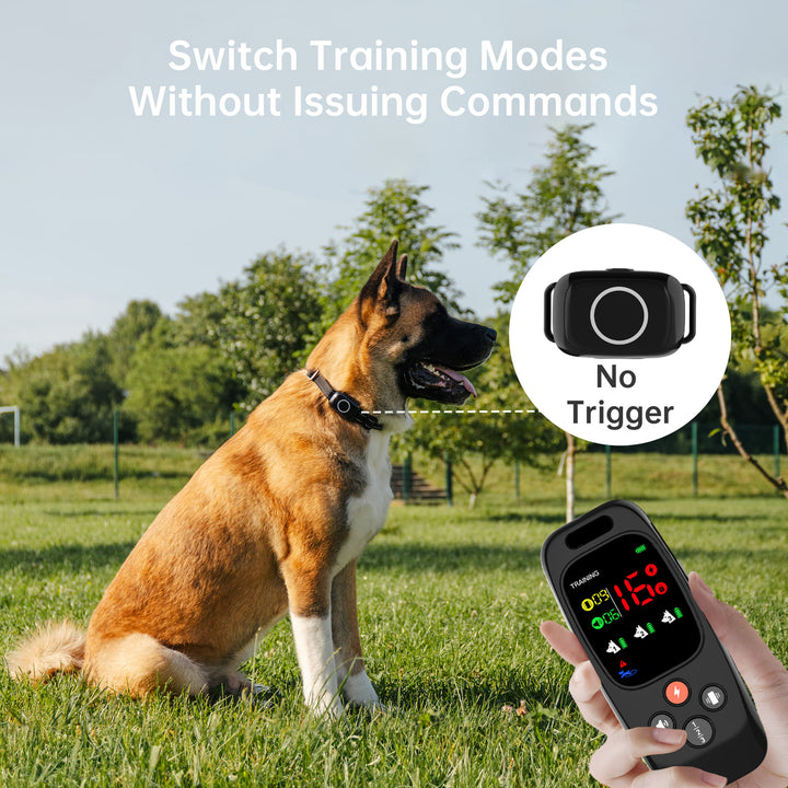 PetHey-T800-Training-Collar-1Dog-4