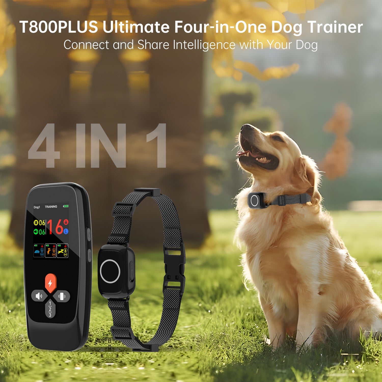 PetHey-T800Plus-Training-Collar-1