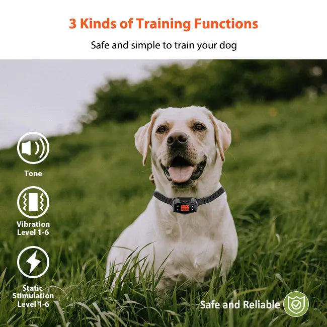 PetHey-Wireless-Dog-Fence-F800-1Dog-4