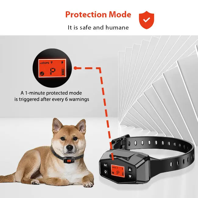 PetHey-Wireless-Dog-Fence-F800-1Dog-5