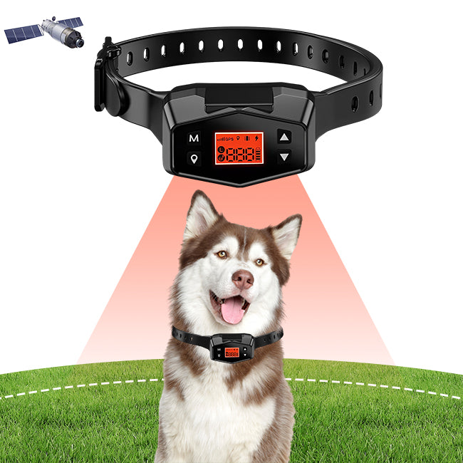 PetHey-Wireless-Dog-Fence-F800-1Dog
