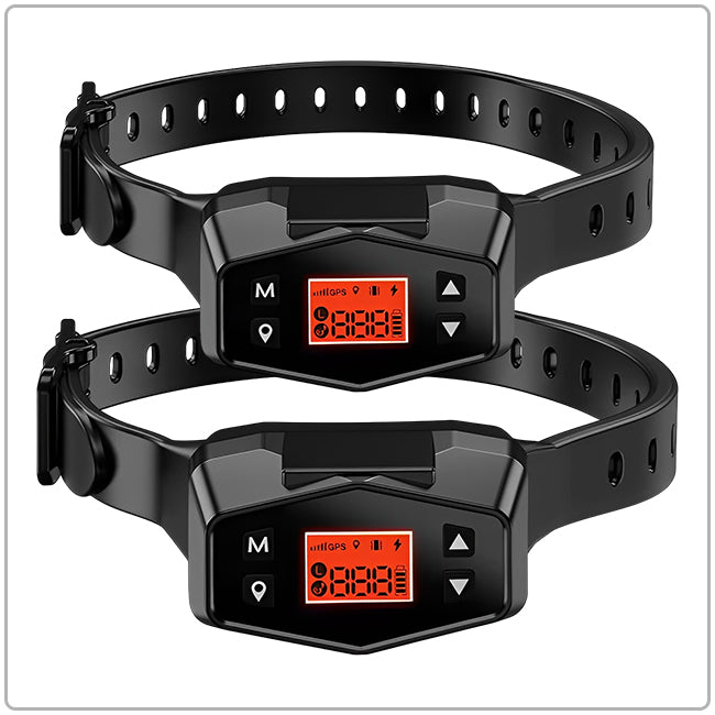 PetHey-Wireless-Dog-Fence-F800-2Dog