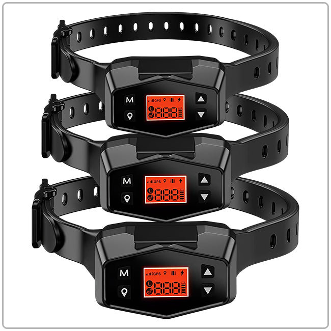 PetHey-Wireless-Dog-Fence-F800-3Dog