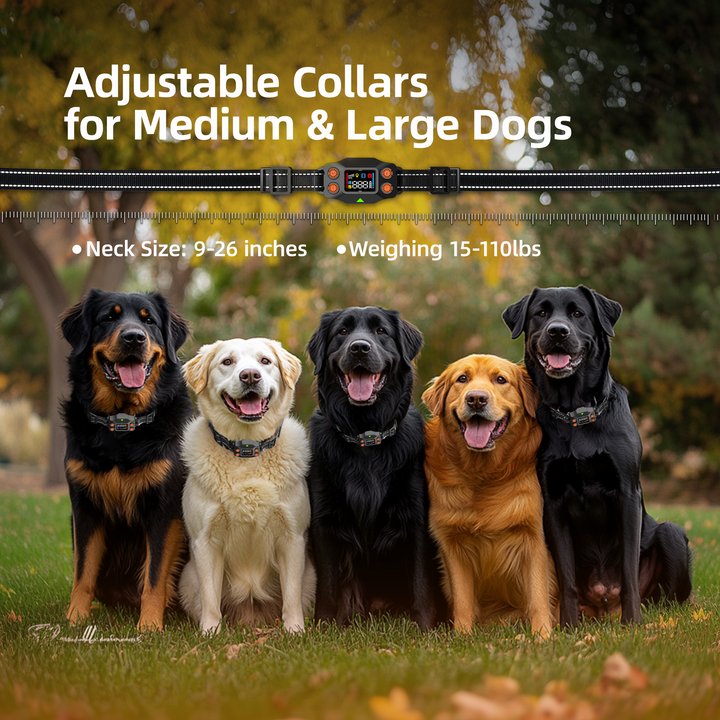 PetHey-Wireless-Dog-Fence-F830-Collar-10