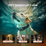 PetHey-Wireless-Dog-Fence-F830-Collar-11