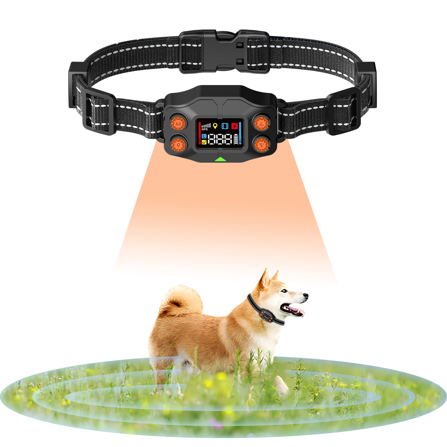 PetHey-Wireless-Dog-Fence-F830-Collar-2