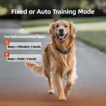 PetHey-Wireless-Dog-Fence-F830-Collar-9