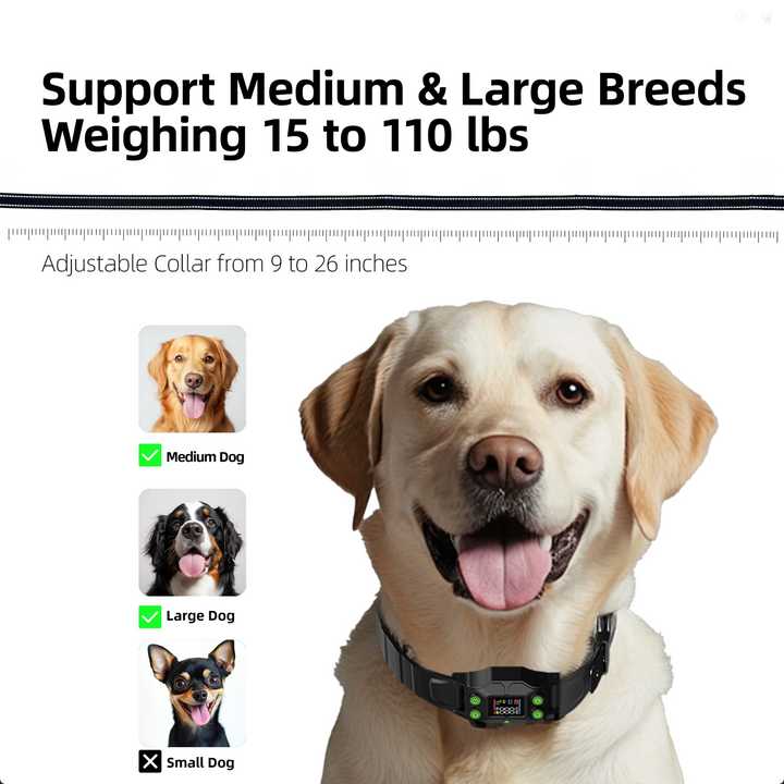 PetHey-Wireless-Dog-Fence-F830Plus-Collar-11