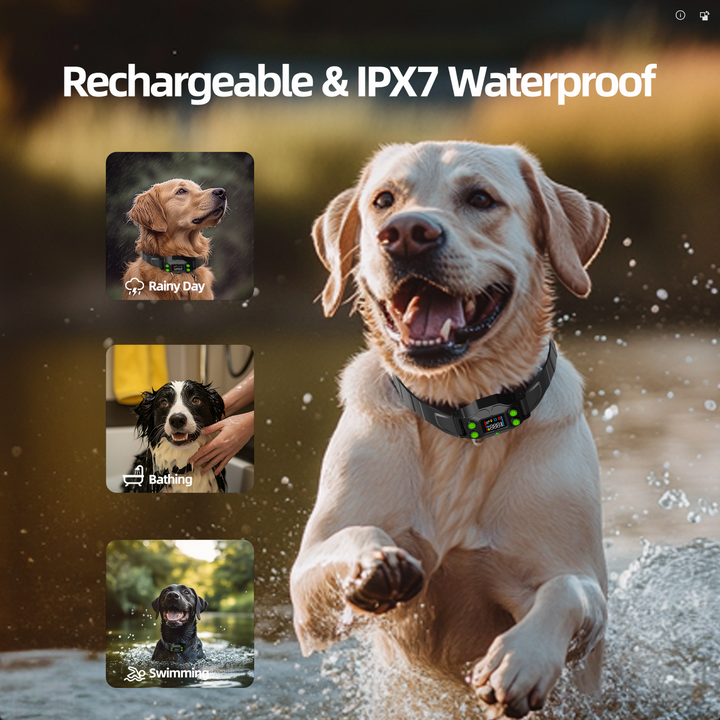 PetHey-Wireless-Dog-Fence-F830Plus-Collar-12