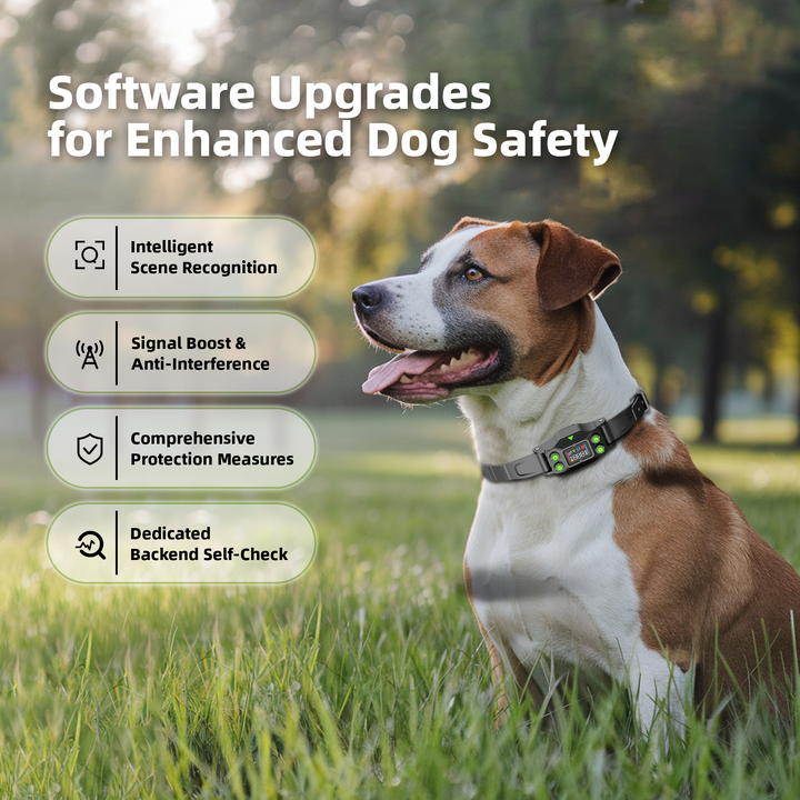 PetHey-Wireless-Dog-Fence-F830Plus-Collar-4