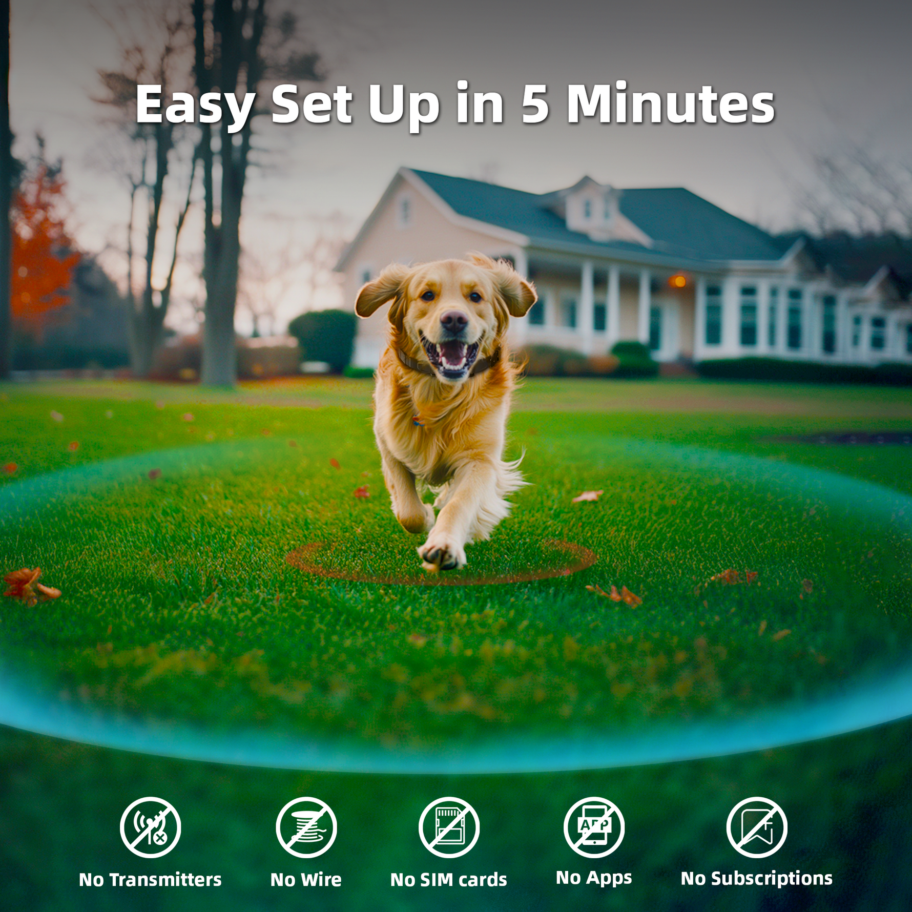 PetHey-Wireless-Dog-Fence-F830Plus-Collar-5