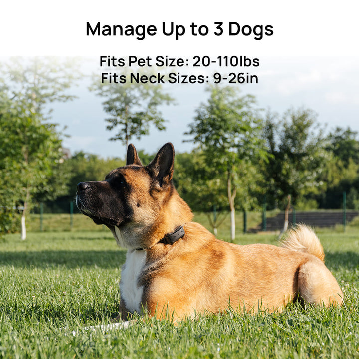 PetHey-Wireless-Dog-Fence-F900-1Dog-Black-6