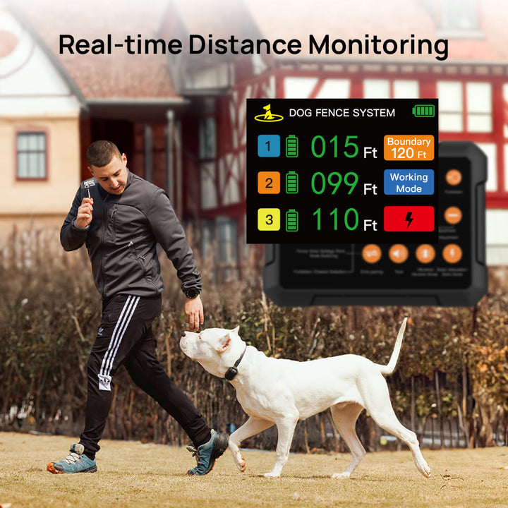 PetHey-Wireless-Dog-Fence-F900Plus-1Dog-Black-3