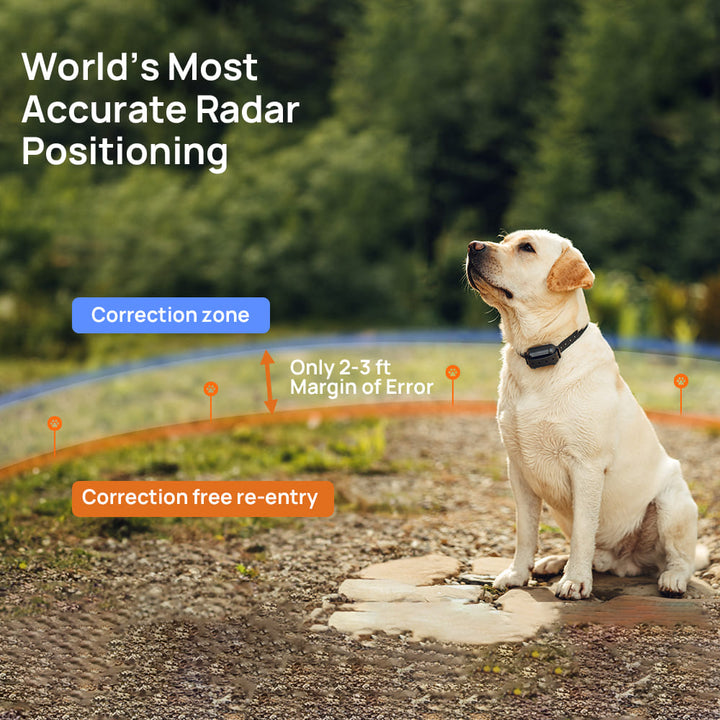 PetHey-Wireless-Dog-Fence-F900Plus-1Dog-Black-6