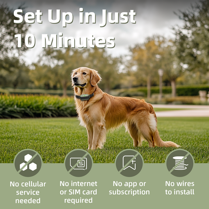 PetHey-Wireless-Dog-Fence-F910-4