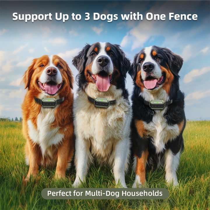 PetHey-Wireless-Dog-Fence-F910-7
