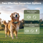 PetHey-Wireless-Dog-Fence-F910-8