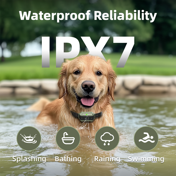 PetHey-Wireless-Dog-Fence-F910-9