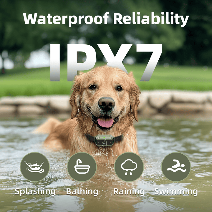 PetHey-Wireless-Dog-Fence-F910-Collar-4