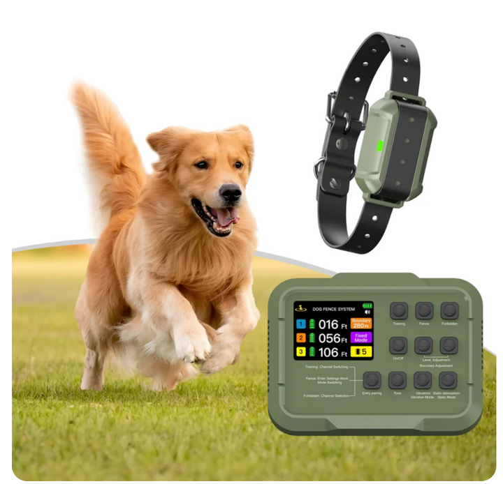 PetHey-Wireless-Dog-Fence-F910Plus-1Dog-3