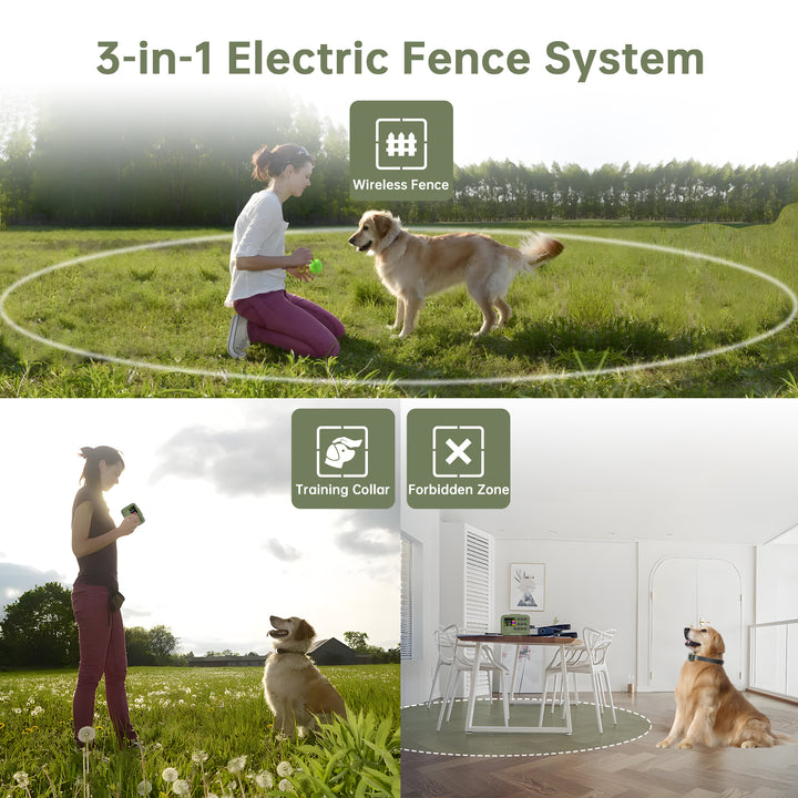 PetHey-Wireless-Dog-Fence-F910Plus-1Dog-4