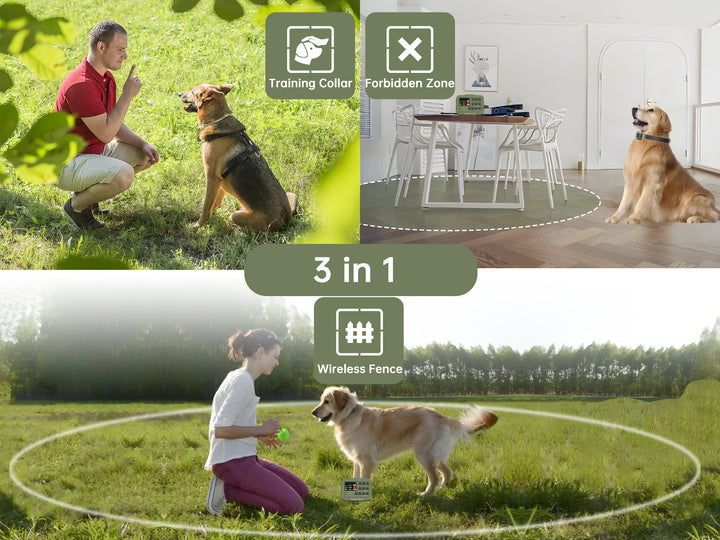 PetHey-Wireless-Dog-Fence-F910Plus-1Dog-5