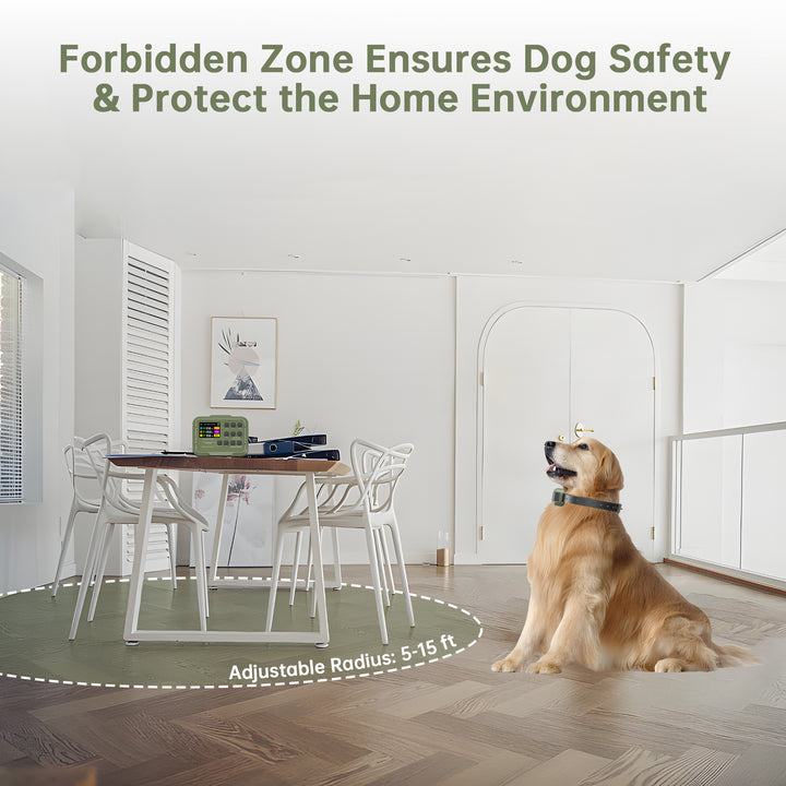 PetHey-Wireless-Dog-Fence-F910Plus-1Dog-7