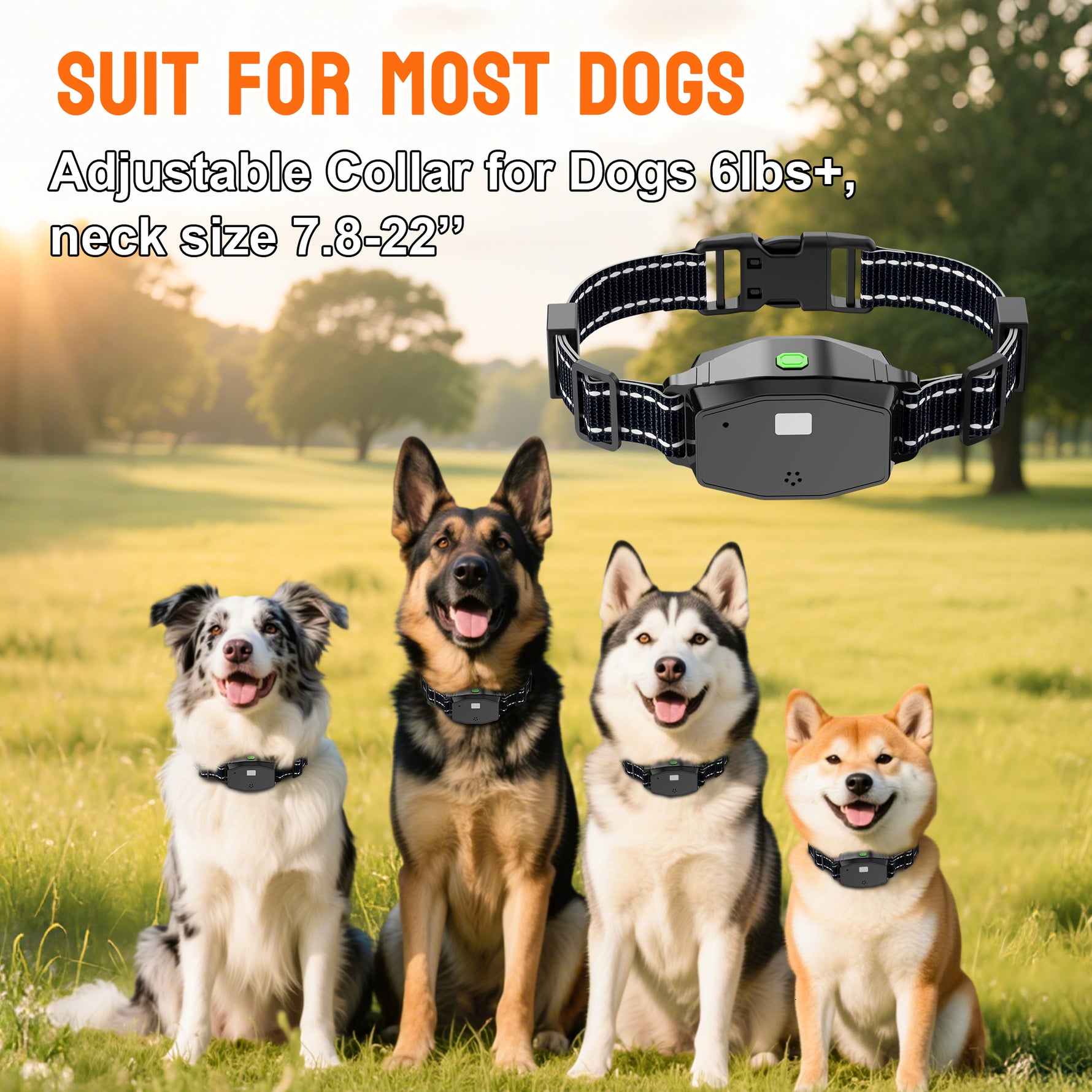 PetHey-Wireless-Dog-Fence-T810-4