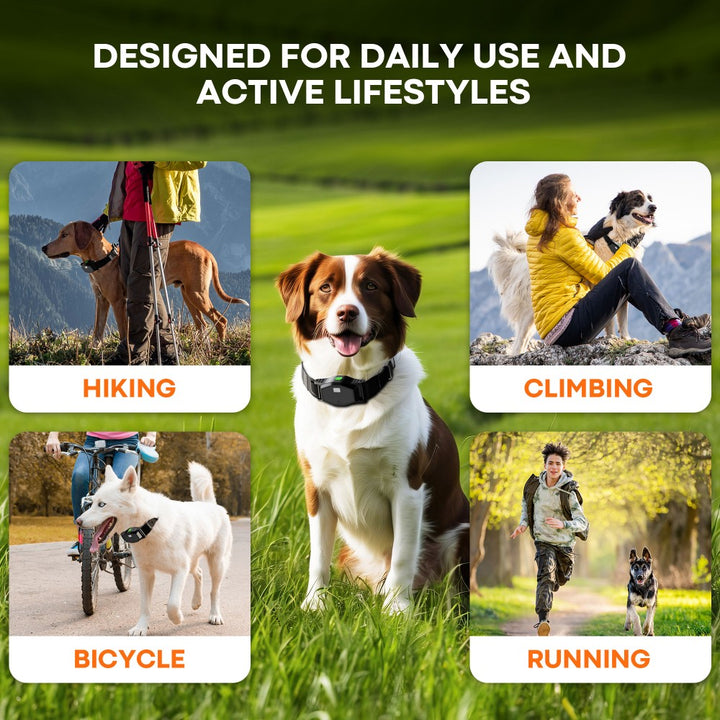 PetHey-Wireless-Dog-Fence-T810Pro-4