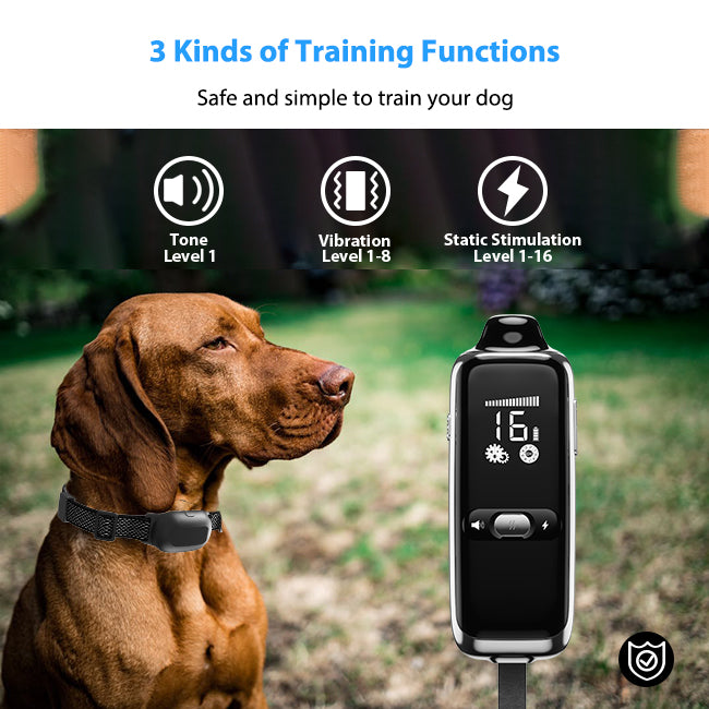 T300 Electric Dog Collar - PETHEY